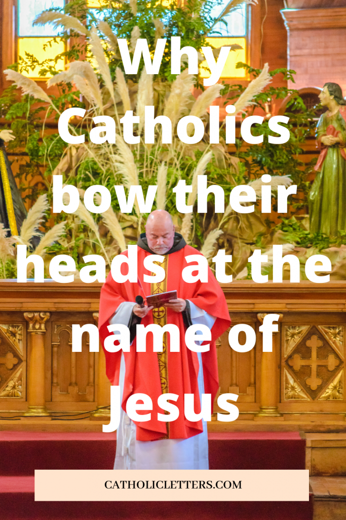Jesus is the Divine Physician and wants to heal us in the Eucharist 1