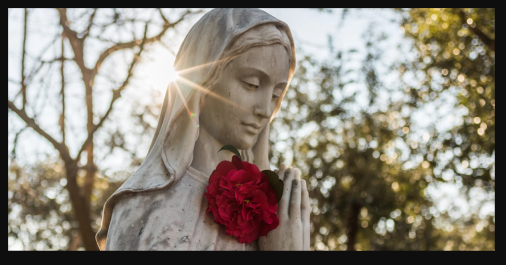 5 Ways to be devoted to Mary during the summer