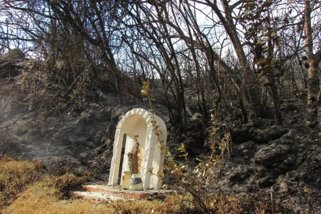 Our Lady immaculate among the ashes