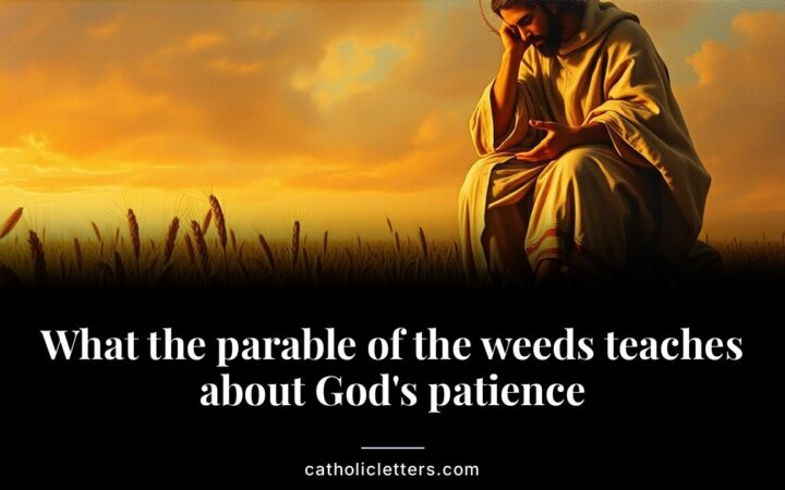 What the parable of the weeds teaches about God’s patience