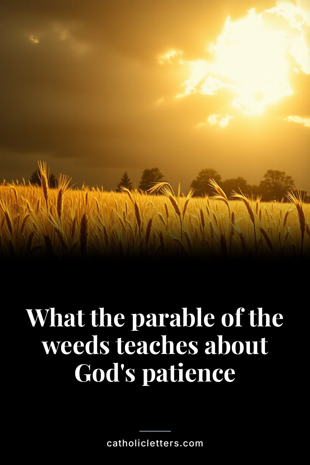 What the parable of the weeds teaches about God's patience 2 What the parable of the weeds teaches about God's patience — Pinterest pin