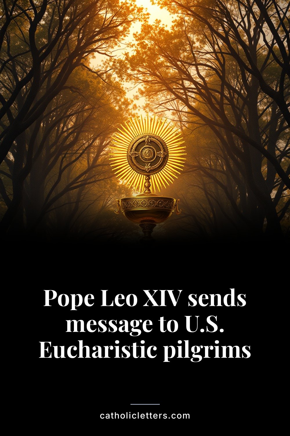 Pope Leo XIV sends message to U.S. Eucharistic pilgrims — Pinterest pin