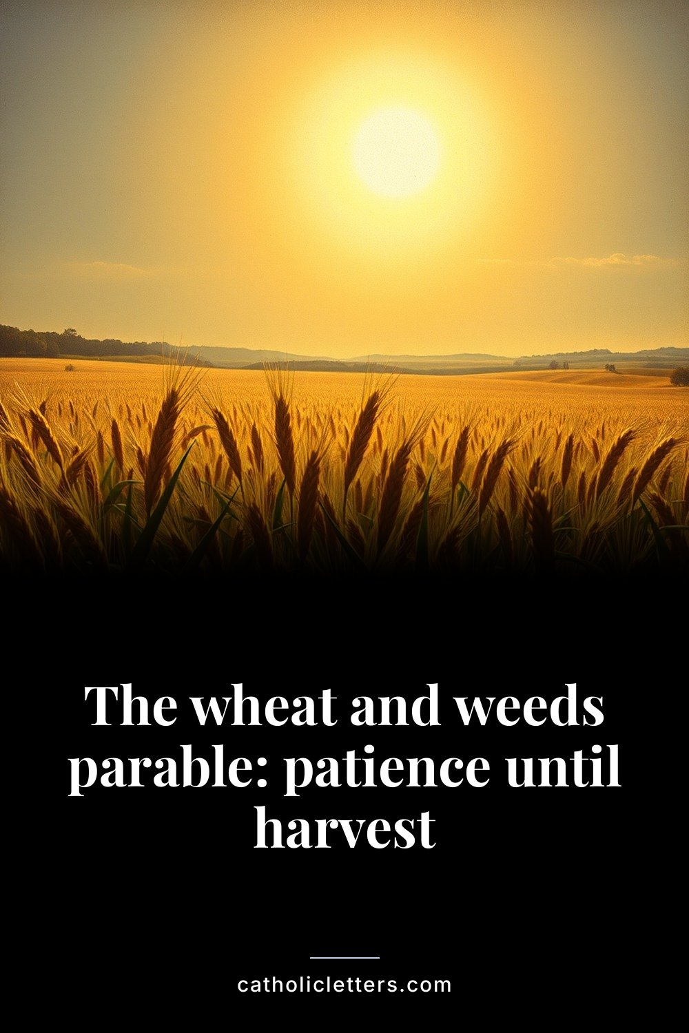 The wheat and weeds parable: patience until harvest — Pinterest pin